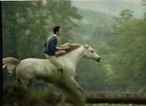 Haras d'ainhoa, elevage de chevaux pur sang arabe