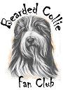 le point de rencontre des Fans du Bearded Collie