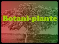 botani-plante