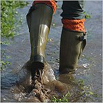 Bienvenue en bottes