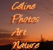 Des photos qui se regardent comme des peintures