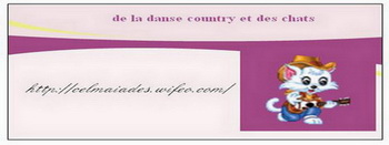 musique et chats font oublier les tracas de la vie