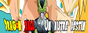 Dbz un autre destin
