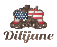 DILIJANE: Boutique en ligne Country Western