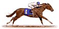Gagner aux Courses