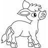 ELEVAGE ANE MINIATURE PURE RACE ORIGINE USA