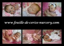 Vente de b&eacute;b&eacute;s reborns, poup&eacute;es r&eacute;alistes