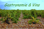 Gastronomie & Vins : recettes, vins, restos