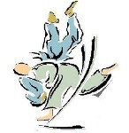 Au Judo Lectourois, vient et ammuse toi