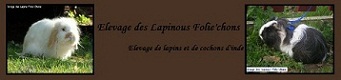 Elevage familial et convivial dans l'Orne