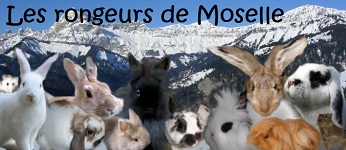 Les rongeurs de Moselle