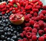 La faim tue toutes les 4 secondes
