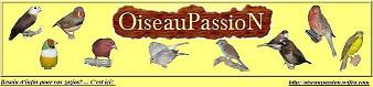 La passion des oiseaux exotiques