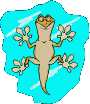 Passion Sauriens - Respect des reptiles