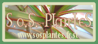 S.o.S Plantes..vos plantes vont aimer !